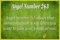 263 Angel Number Meaning - Pulptastic