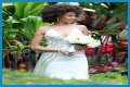 Carlos Santana Wife: Is Carlos Santana Married?