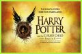 Harry Potter and The Cursed Child: The Sequel